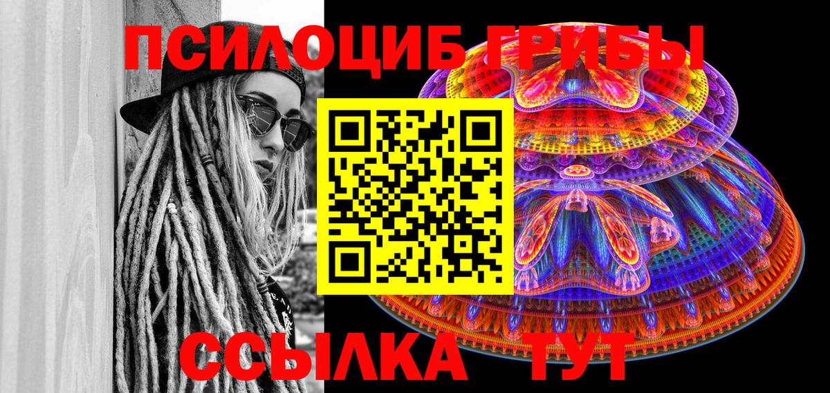 Гурьевск  Галлюциногенные грибы Cubensis  Псилоцибиновые грибы Psilocybine cubensis  продажа наркотиков  Вход с VPN 