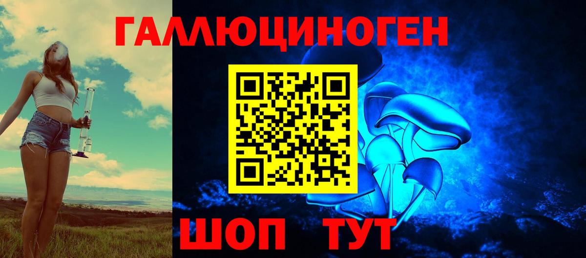 Псилоцибиновые грибы Psilocybine cubensis Гурьевск