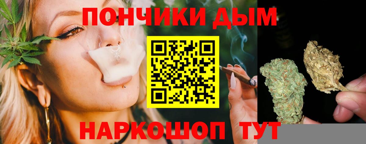 Марихуана SATIVA & INDICA Гурьевск